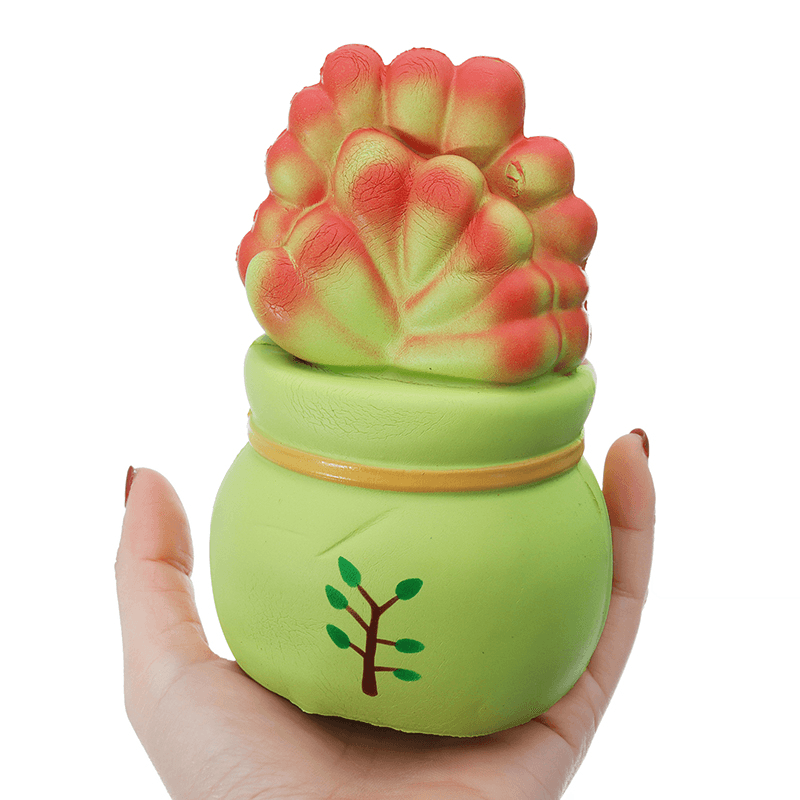 Vlampo Licensed Slow Rising Squishy Potted Succulents Lucky Plant Home Decoration Stress Release Toy 14Cm - Trendha