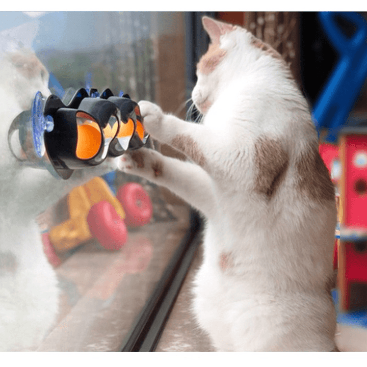 Suction Cup Pet Cat Tunnel Training Toy Table Tennis Cat Training Tunnel Pet Toys - Trendha