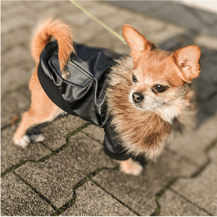 Nsmsan KLN-1725 Pet Fur Collar Leather Coats Waterproof Pet Dog Winter Warm Coats Puppy Cold Weather Clothes - Trendha