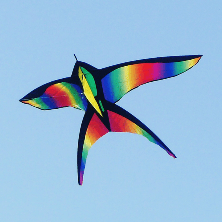68In Swallow Kite Bird Kites Single Line Outdoor Fun Sports Toys Delta for Kids - Trendha