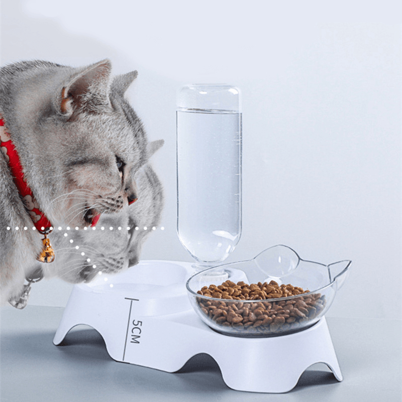 15 Degree Raised Pet Bowls Cats Food Water Feeder Plastic Tilted Elevated Bowl for Pets Care - Trendha