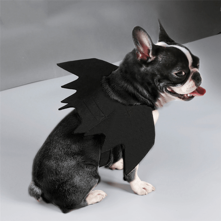 Halloween Black Bat Wings Cute Party Decoration Toys - Trendha
