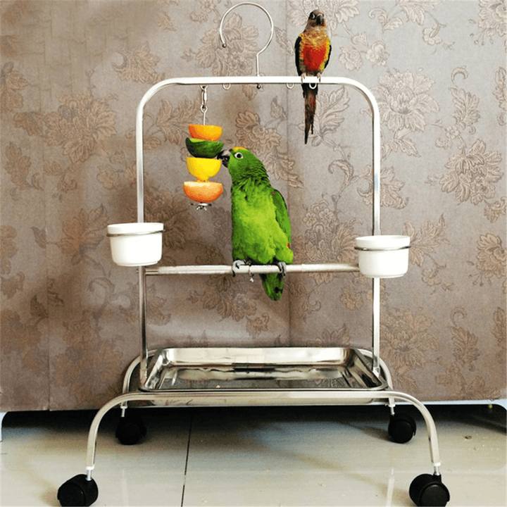 12/20Cm Stainless Steel Small Parrot Toys Kabob Food Stick Scooter Fruit - Trendha