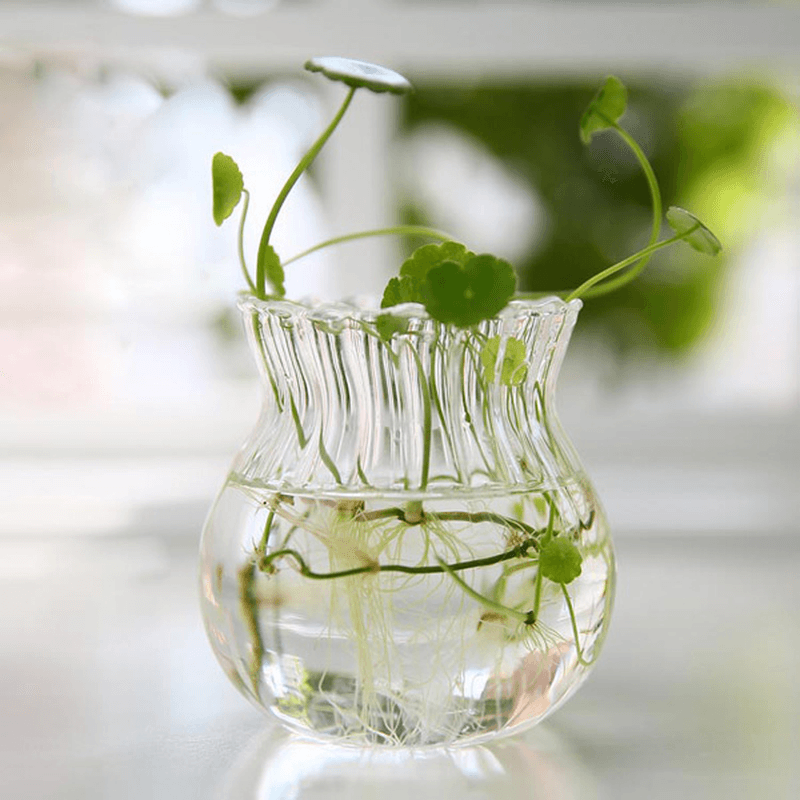Hydroponic Plants Stripe Shape Glass Bottle Vase Home Garden Wedding Party Decoration - Trendha