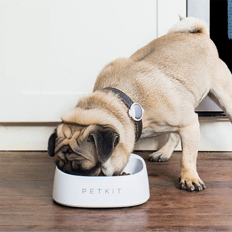 PETKIT Pet Smart Pet Fedding Bowl Automatic Weighing Food Dog Food Bowl Digital Feeding Bowl Stand Dog Feeder Drinking Bowls From - Trendha