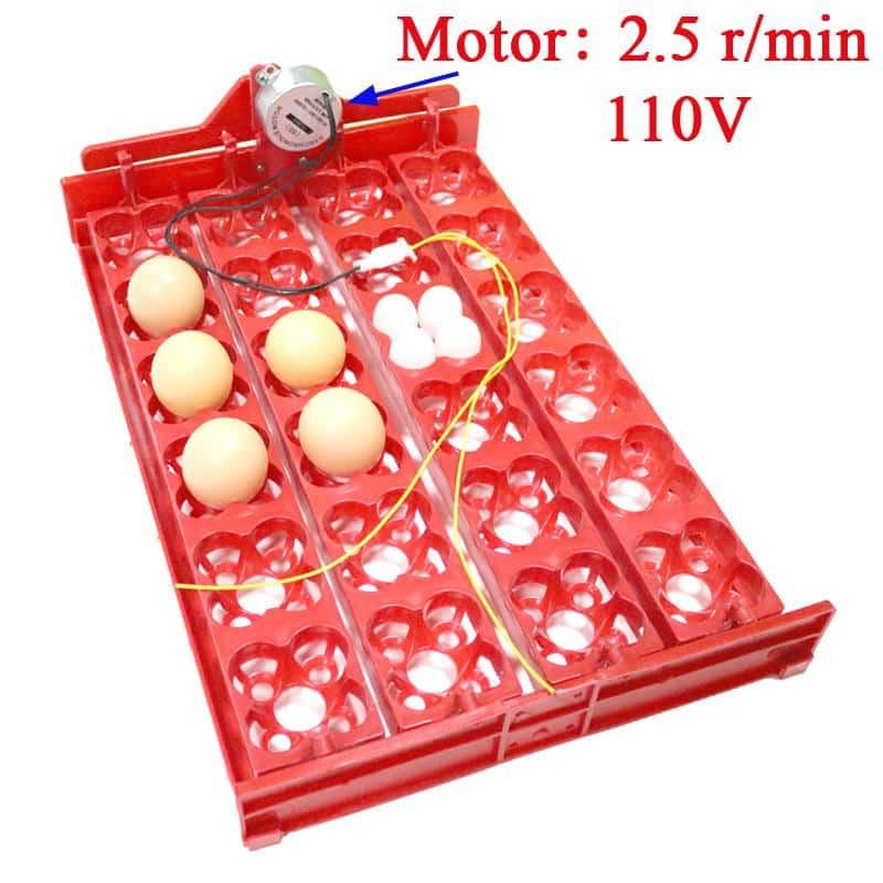 24-Eggs Automatic Incubator Tray - Trendha