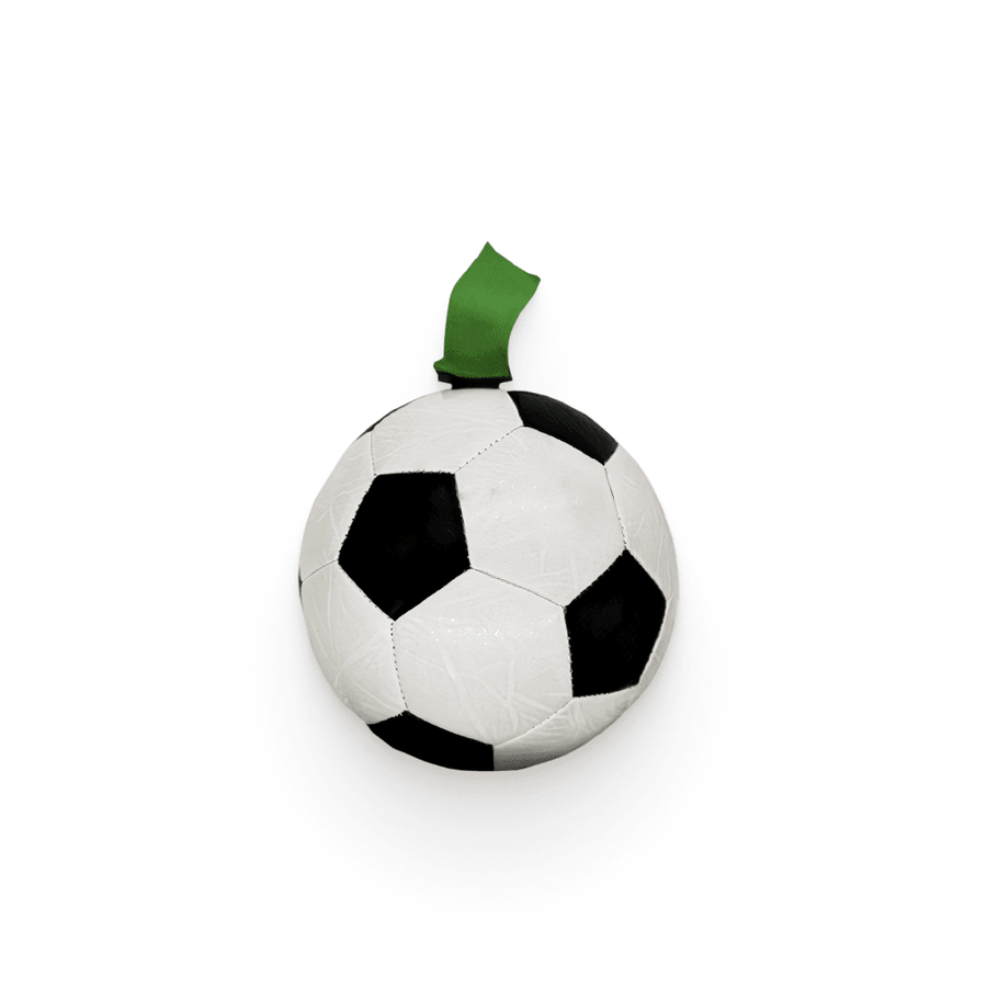 Dog Soccer Ball Toy - Trendha