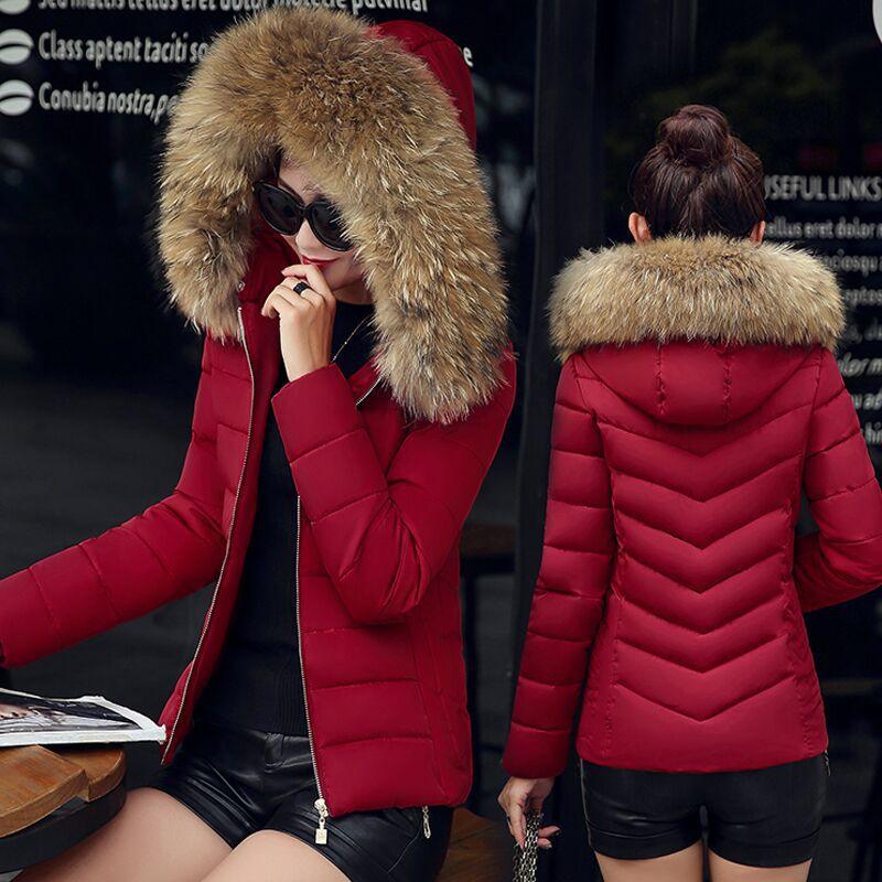 Slim cotton padded jacket and down jacket - Trendha