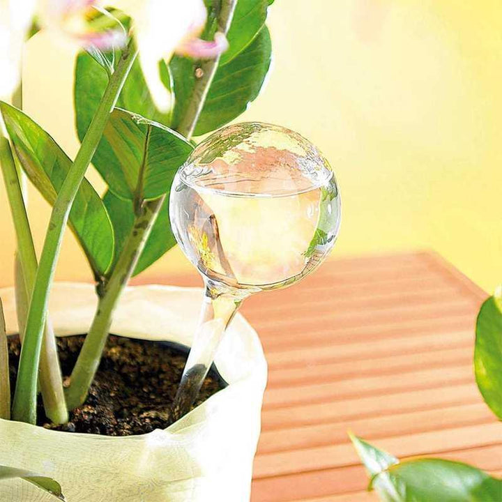 Plant Watering Bulbs - Trendha