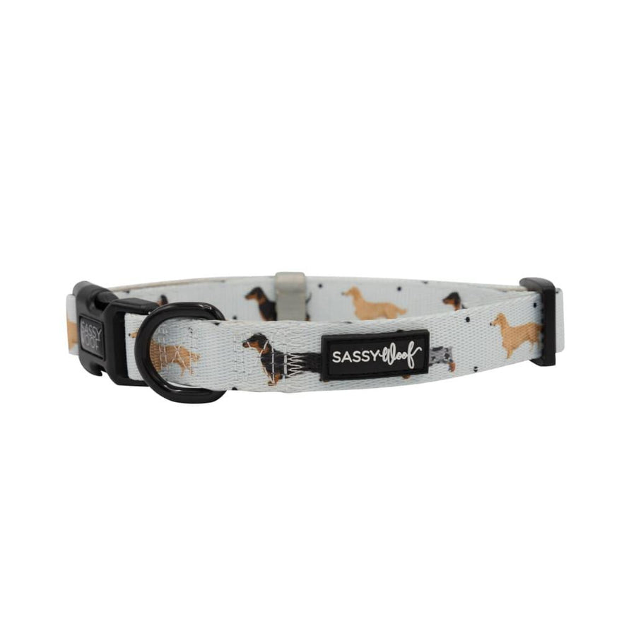 101 Dachshund' Dog Collar - Trendha