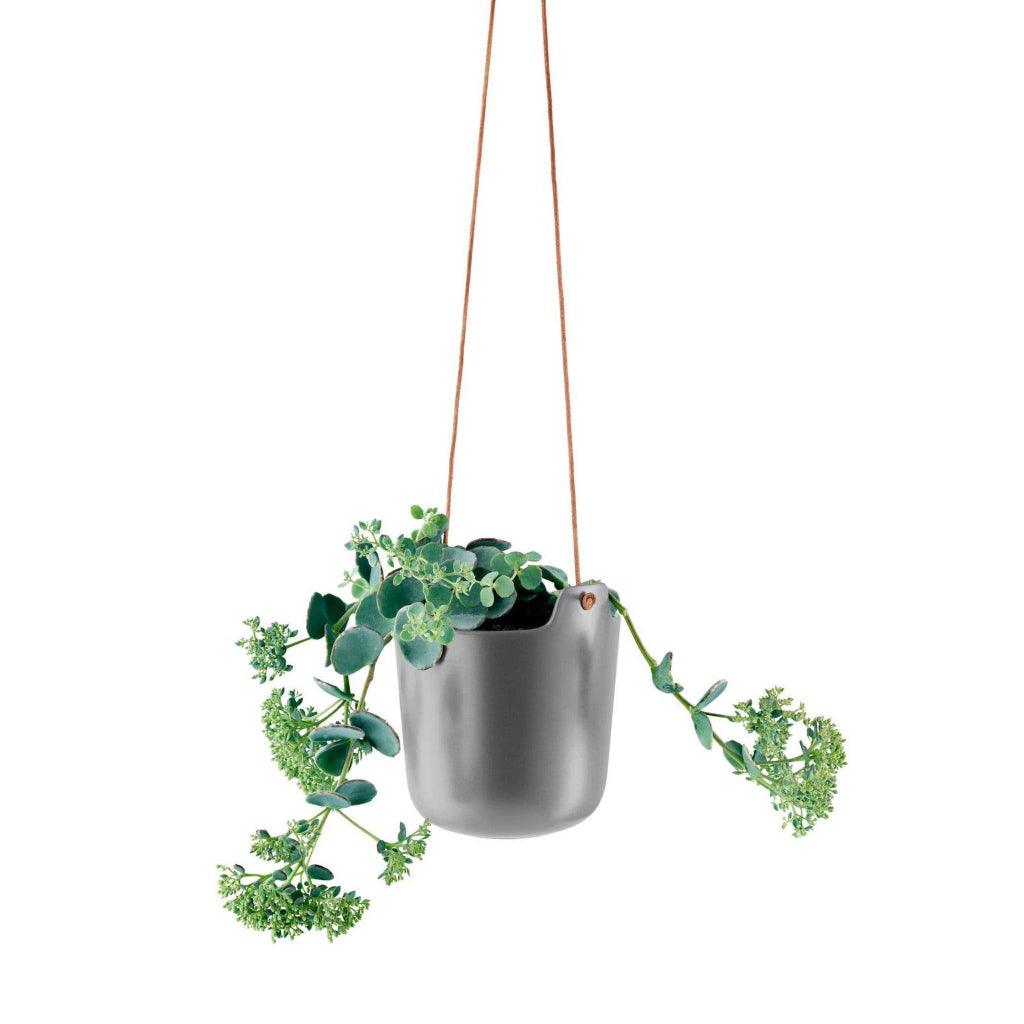 Self-Watering Hanging Flower Pot - Trendha