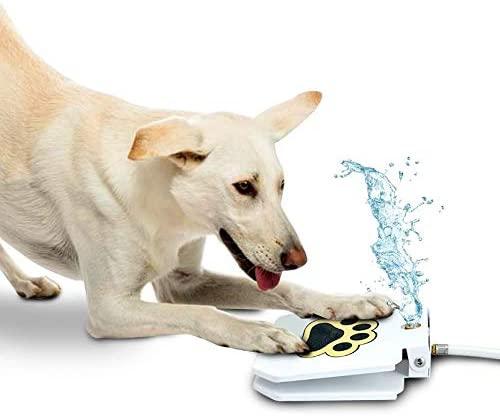 Automatic Outdoor Dog Water Fountain - Trendha