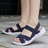 Color: DarkBlue