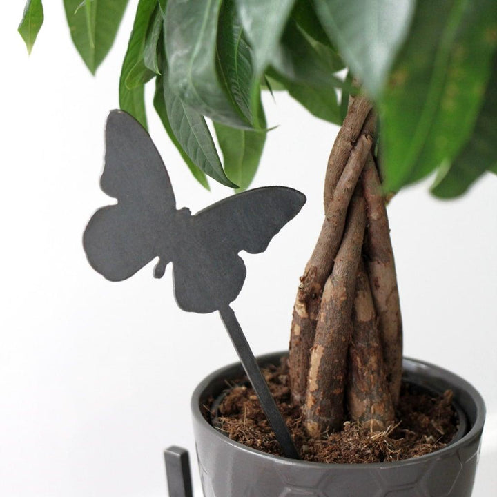 Butterfly Plant Stake - Trendha