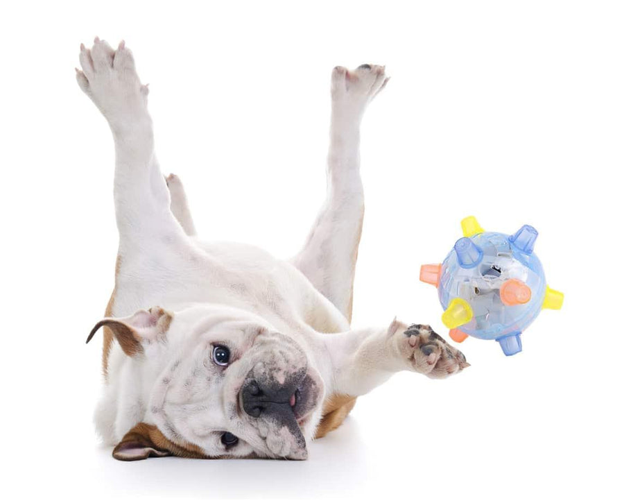 Active Jumping Ball For Dogs - Trendha