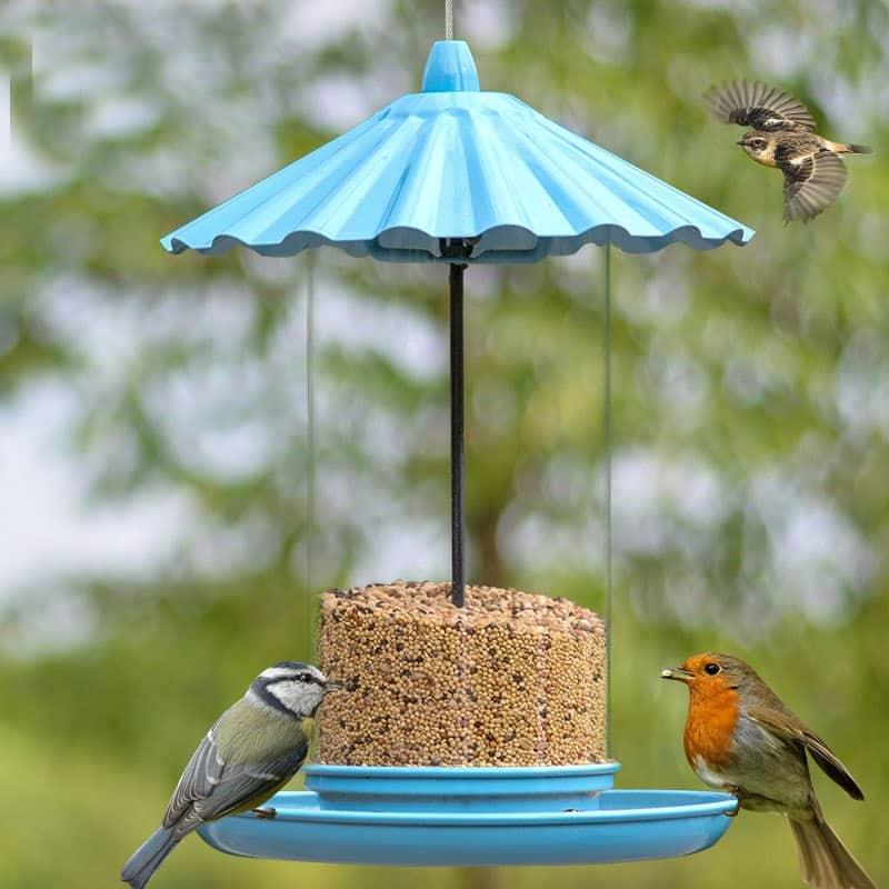 Artistic Outdoor Feeder for Birds - Trendha