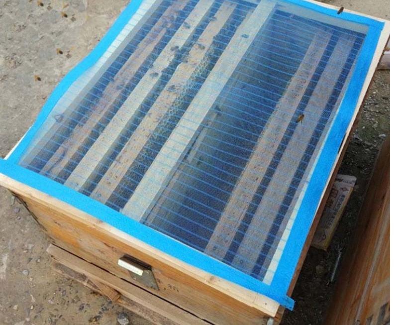 Beehive Mesh Net Cover 10 or 20 pcs Set - Trendha