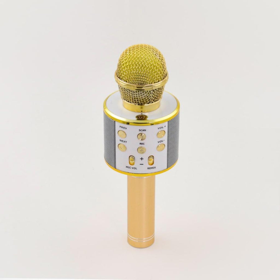 Wireless Karaoke Microphone - Trendha