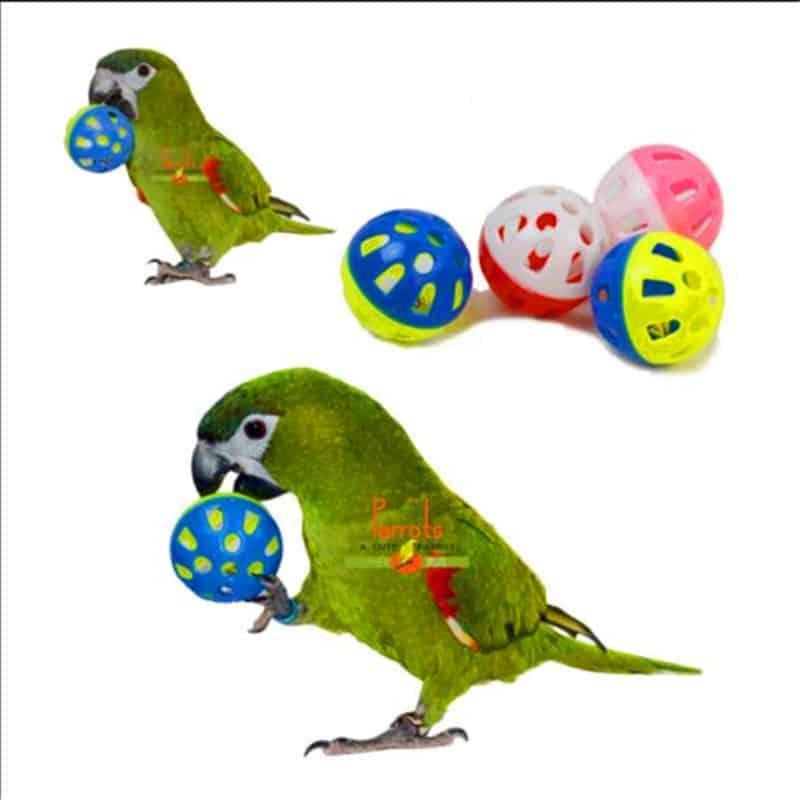 Bell Ball Toy for Birds - Trendha