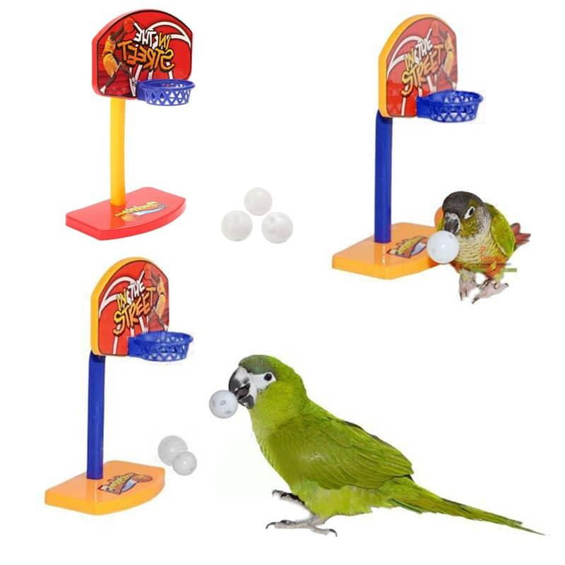 Bird's Basketball Chew Toy