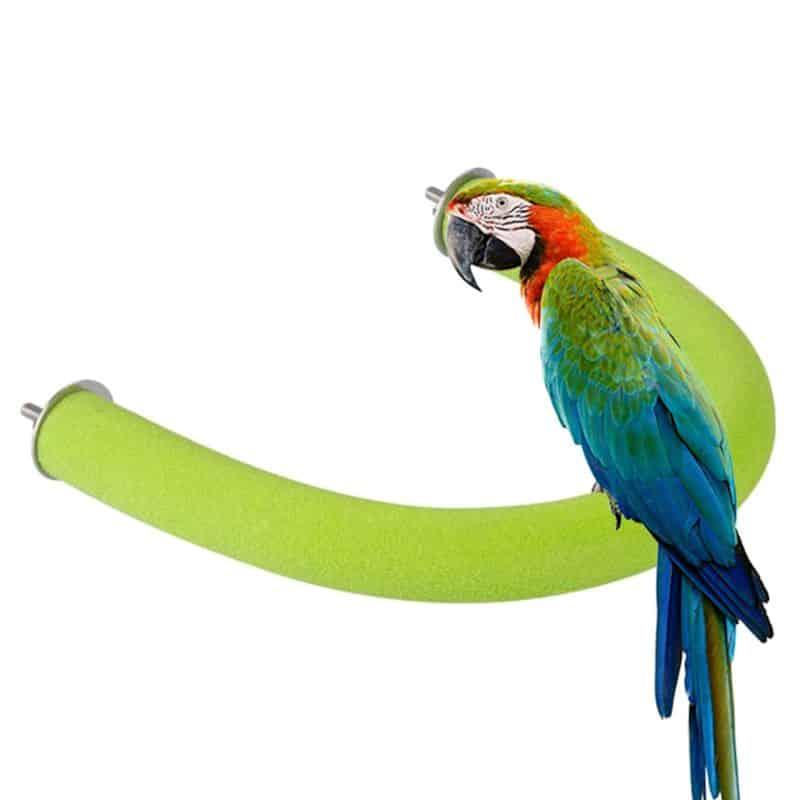 Bird's Bow Shaped Perch