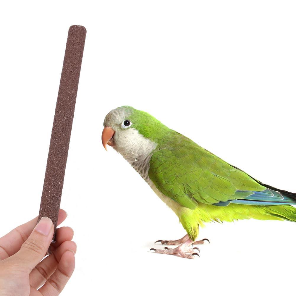 Bird's Chewing and Grinding Toy - Trendha