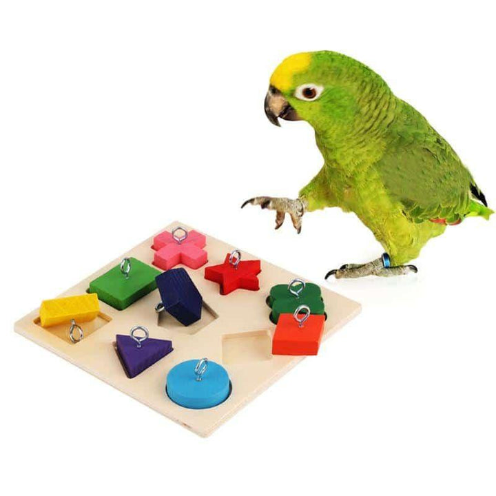 Bird's Educational Block Toy - Trendha