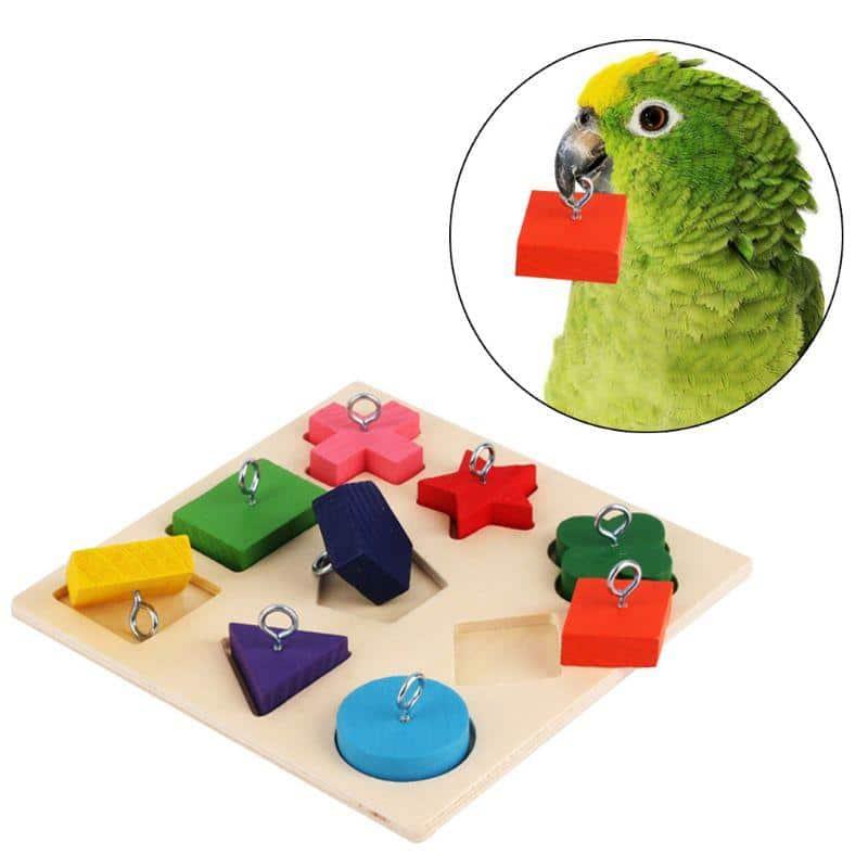 Bird's Educational Block Toy - Trendha