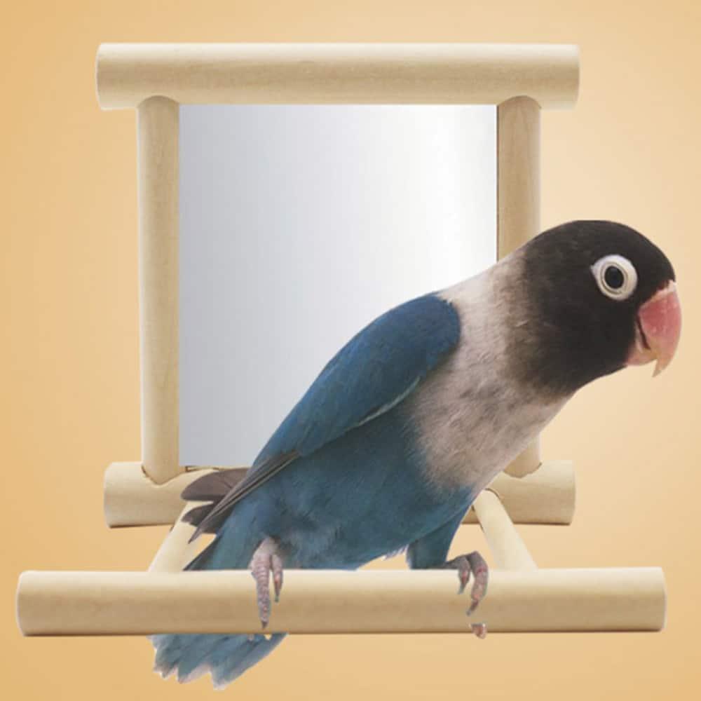 Bird's Mirror Toy - Trendha