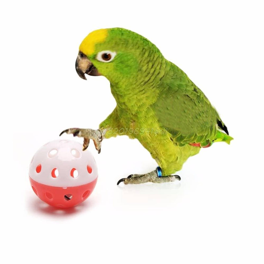Bird's Toy Ball with Bell - Trendha