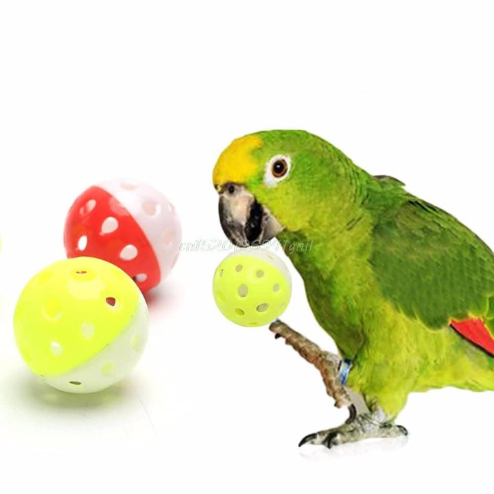 Bird's Toy Ball with Bell - Trendha