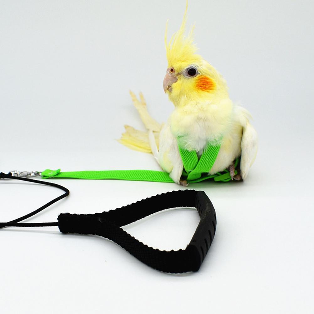 Bird's Ultralight Harness - Trendha