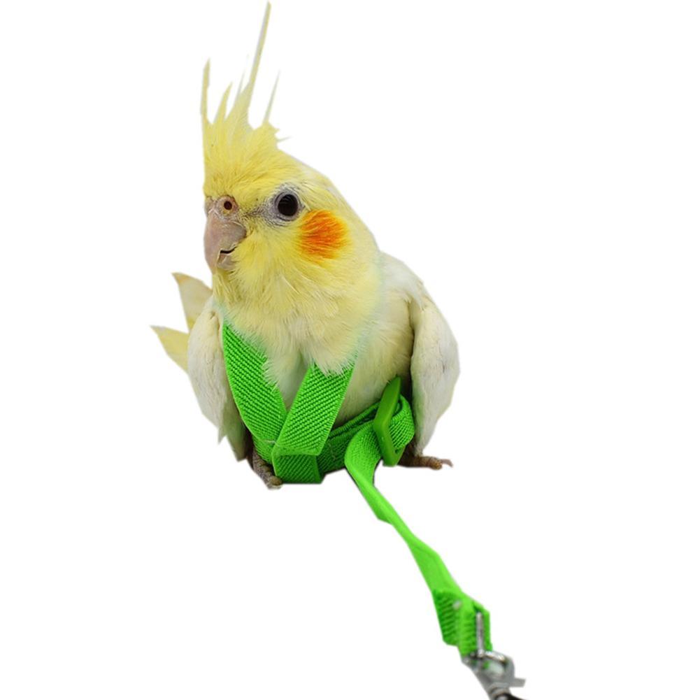 Bird's Ultralight Harness - Trendha