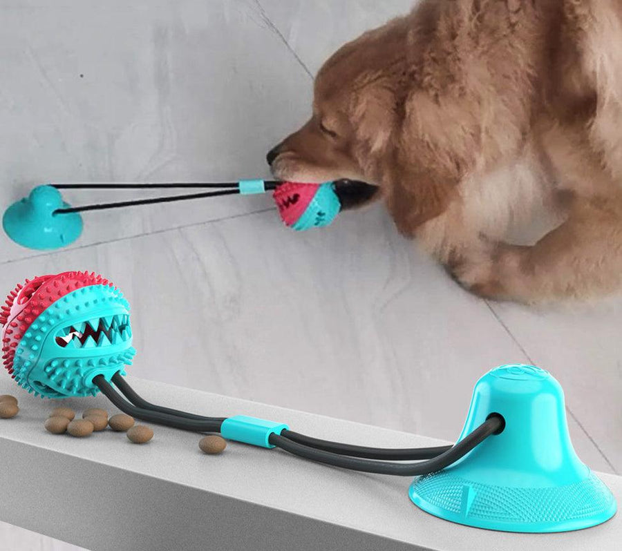Biting Toy for Dogs - Trendha