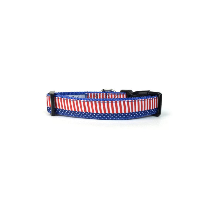 4th of July Star & Stripes Dog Collar - Trendha