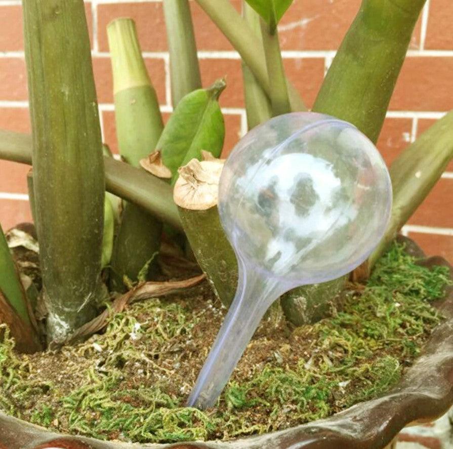 Plant Watering Bulbs - Trendha