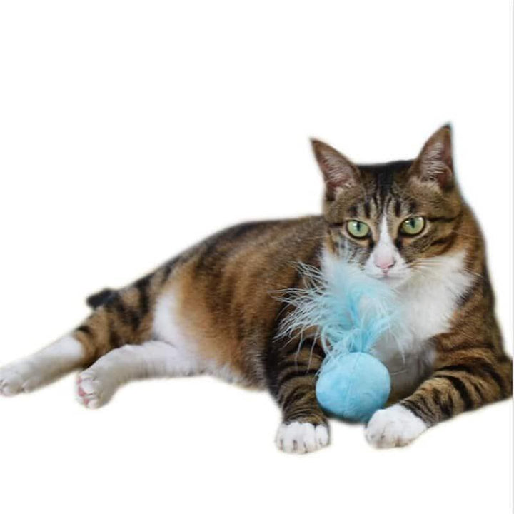 Cat's Teaser Ball with Sound Effects - Trendha