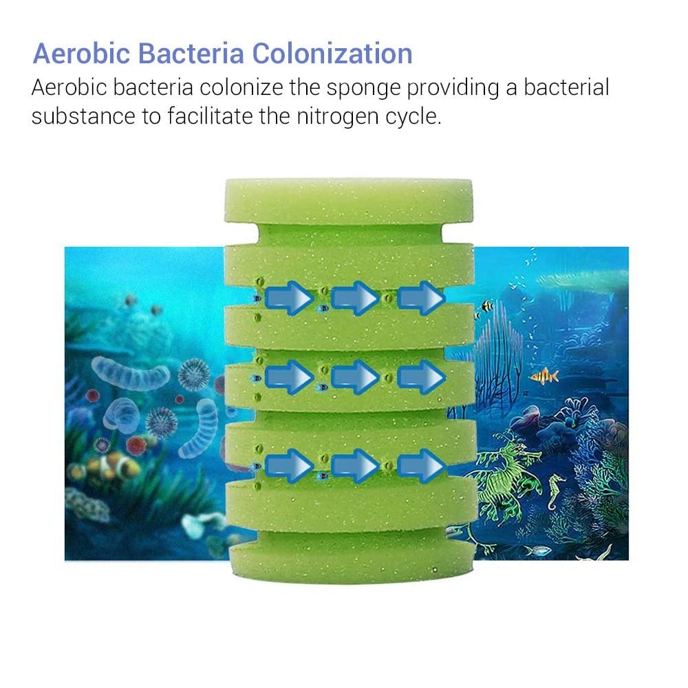 Ceramic Filter with Submersible Water Pump - Trendha