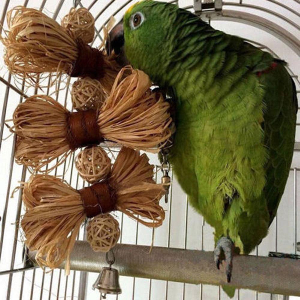 Chewing Toys For Birds - Trendha