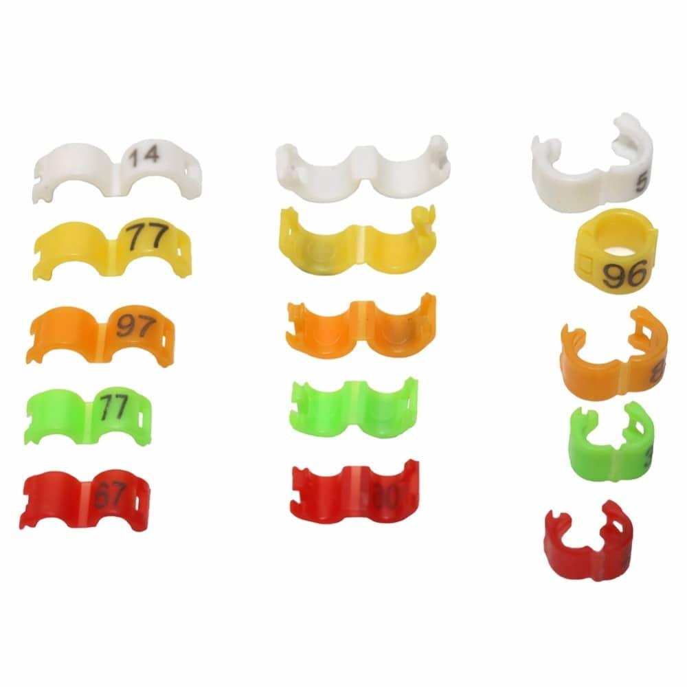 Colorful Clip Rings For Birds - Trendha