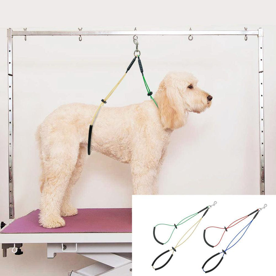 Colorful Strap for Pet Grooming Table - Trendha