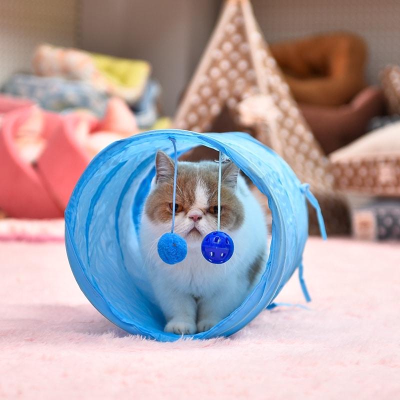Colorful Tunnel Toy for Cats with Two Balls