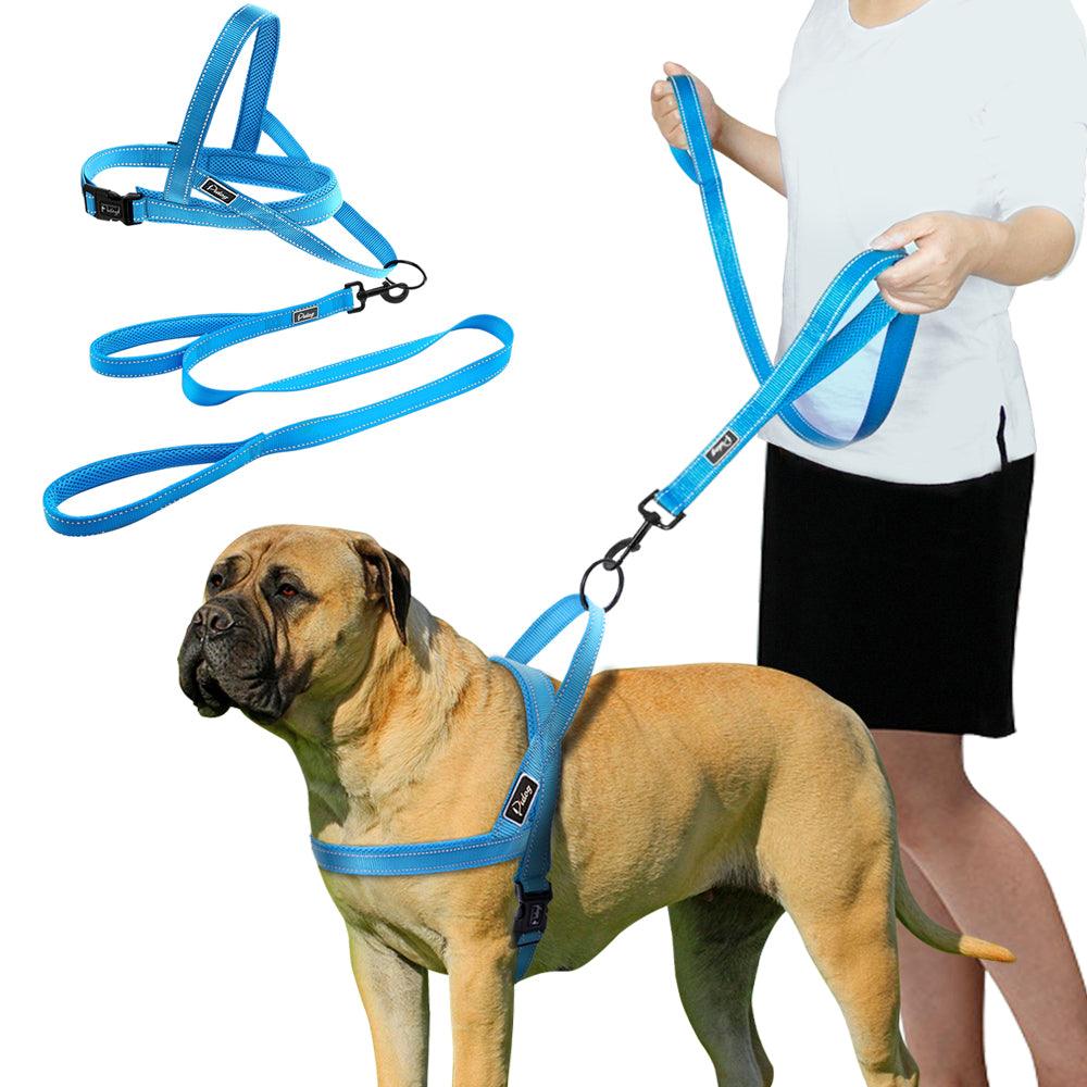 Convenient Basic Nylon Dog's Harness with Leash