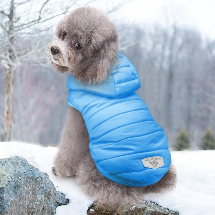Cute Cotton Blend Coat For Small Dogs - Trendha