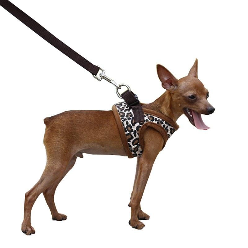 Cute Fashion Leopard Dog's Harness