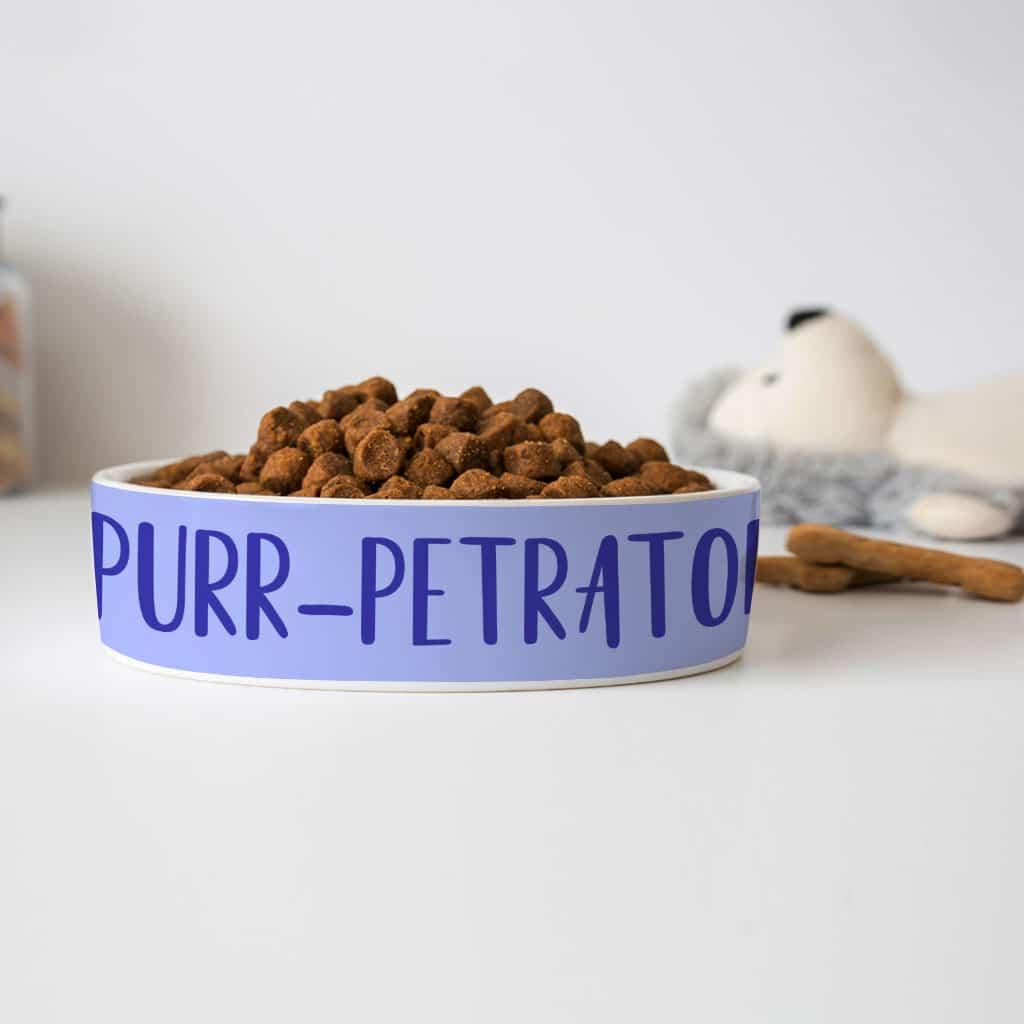 Cute Funny Pet Bowl - Creative Dog Bowl - Cool Design Pet Food Bowl - Trendha