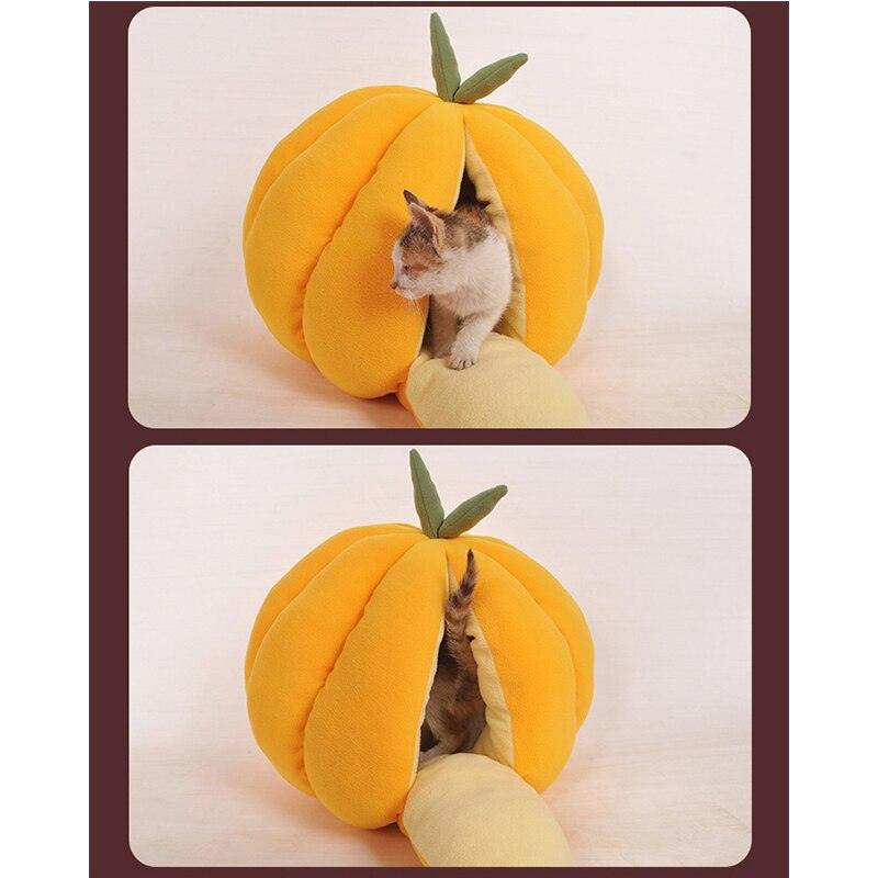 Cute Pumpkin Shaped Sleeping Bed for Cats - Trendha