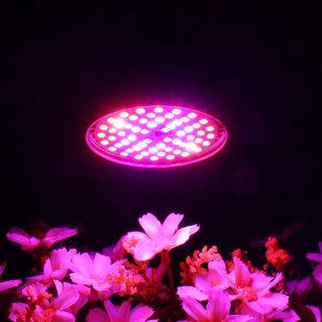 LED Bulb Grow Light E27 60W 2835 SMD Full Spectrum Plant Hydroponic Aquarium AC85-265V - Trendha