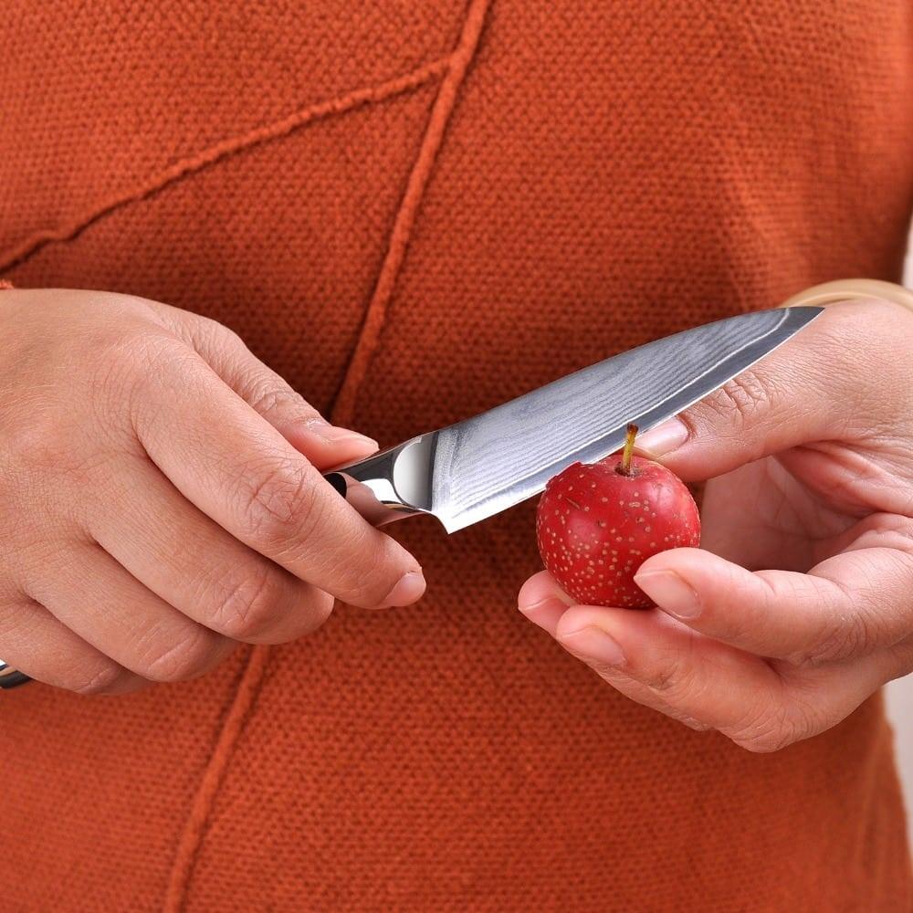 Damascus Steel Fruit Paring Knife - Trendha