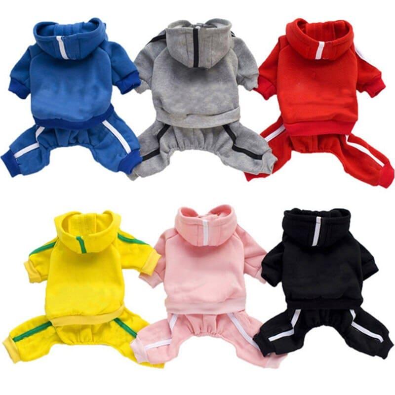 Different Colored Dog's Costume - Trendha